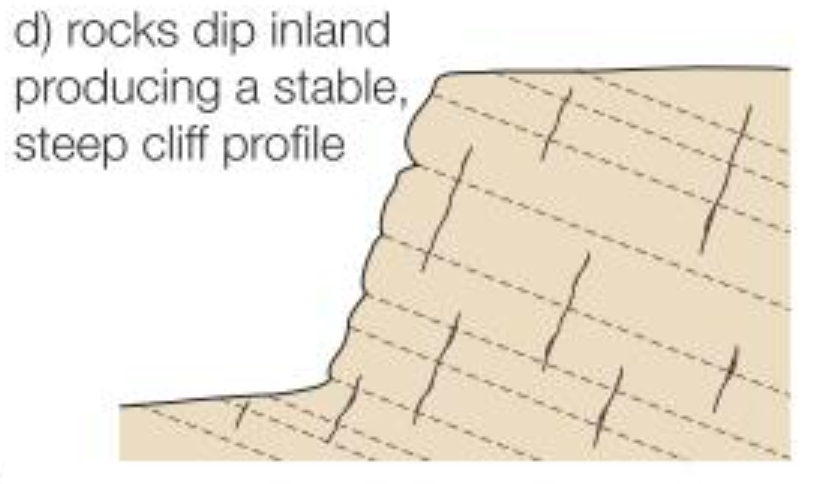 <p>Stable</p>