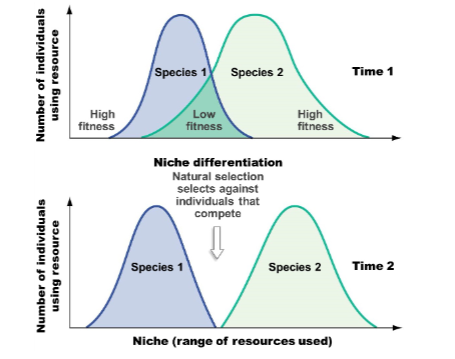 <p>individuals are cut out by natural selection</p>