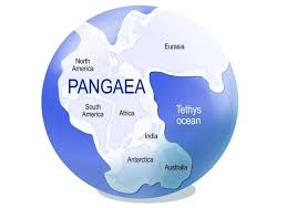 <p>Supercontinent</p>