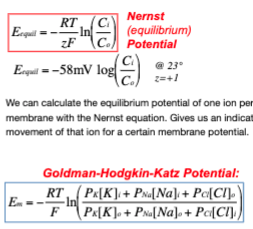 We can calculate the equilibrium potential of one ion permeable to the cell  \n membrane with the Nernst equation. Gives us an indication of the direction of  \n movement of that ion for a certain membrane potential.

\
We can calculate the membrane potential of a cell with the Goldman equation. The membrane  \n potential it is generated by the separation of charges across the membrane and it depends on  \n the permeability of multiple ions.