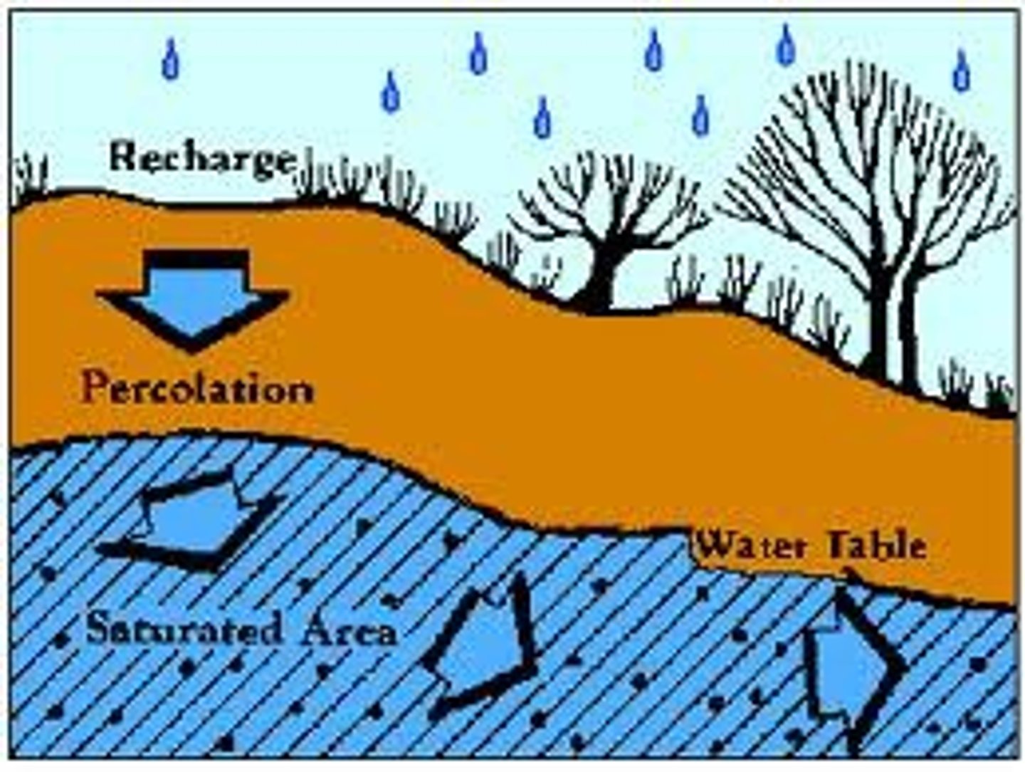 <p>... aquifers are replenished with water from the surface<br><br>- Water from rainfall percolates into underlying aquifers</p>