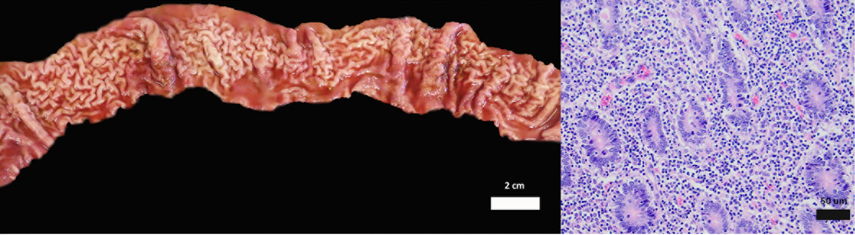<p>What is this an image of?</p>