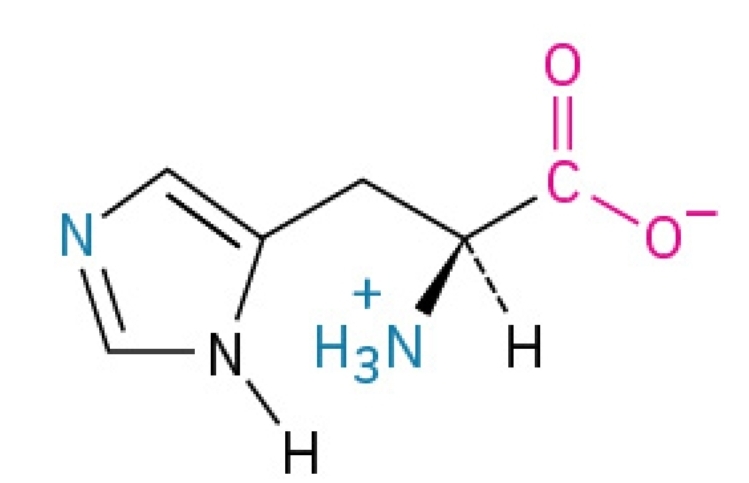 <p>Polar,&nbsp;hydrophilic, essential amino acid</p>