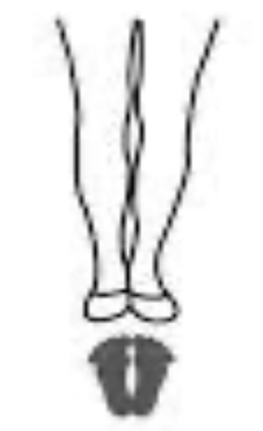 <p>6th position</p>