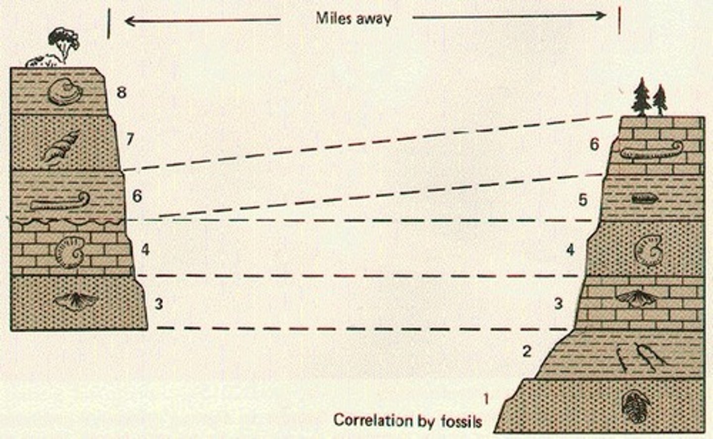 <p>Even though rock layers some distance away from each other might have a different name, if there is the same index fossil in each of those layers, it indicates that it is the SAME age rock layer.</p>