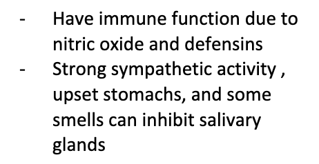 produce saliva and are controlled by chemo- and mechano-receptors that detect the presence of food and stretch of stimuli to notify the parasympathetic nervous system; parotid, submandibular, and sublinguil