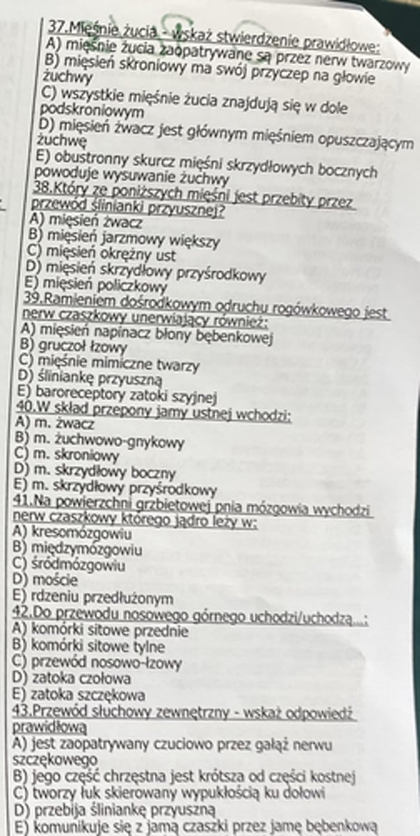 <p>37</p>