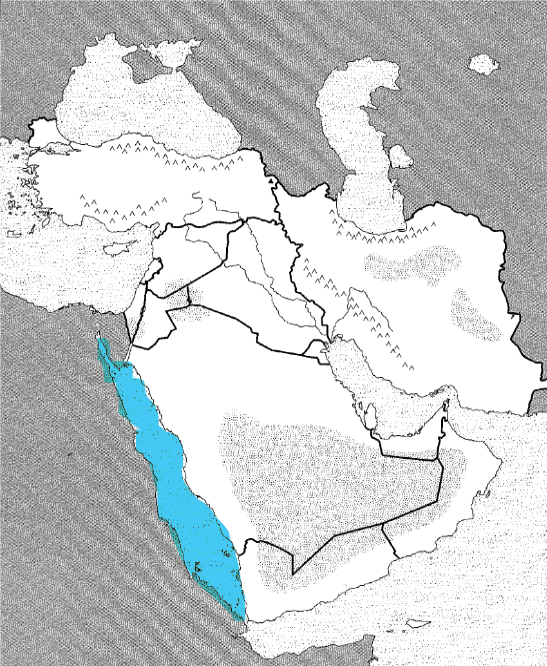 <p>Physical</p>