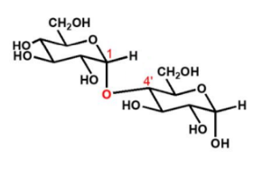 <ul><li><p>disaccharide</p><ul><li><p>glucose + glucose</p></li><li><p>axiaal gebonden</p><p>‎</p></li></ul></li></ul><p></p>