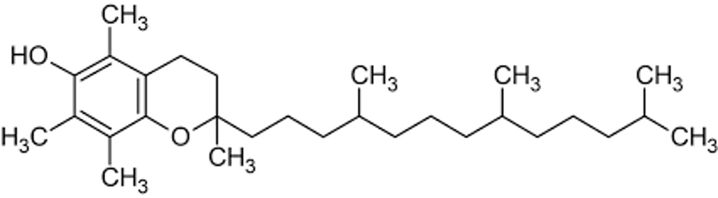<p>chromanol head is fully methylated and the phytyl tail is saturated</p>
