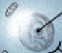 <p>What is the control center of a neuron?</p>