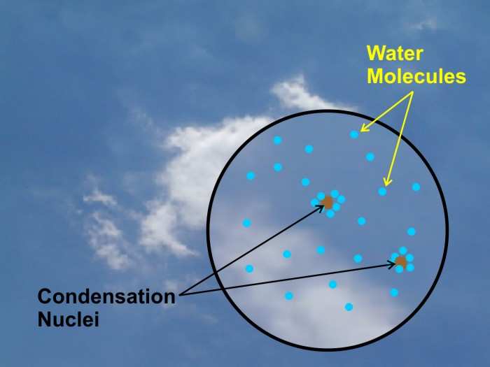 <p>Tiny particles (dust, smoke, salt) that water vapor condenses onto to form droplets.</p>