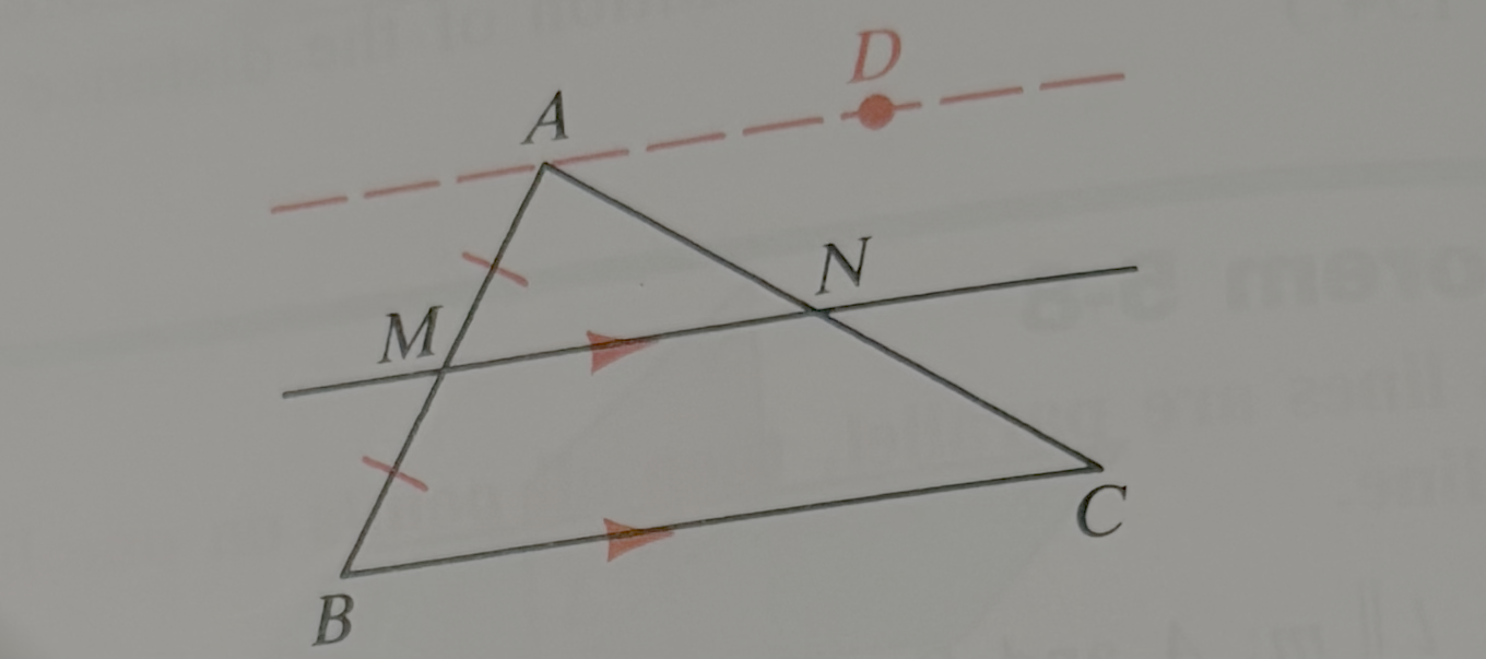 <p>What can you conclude about point N (hint it has to do with a midpoint)</p>