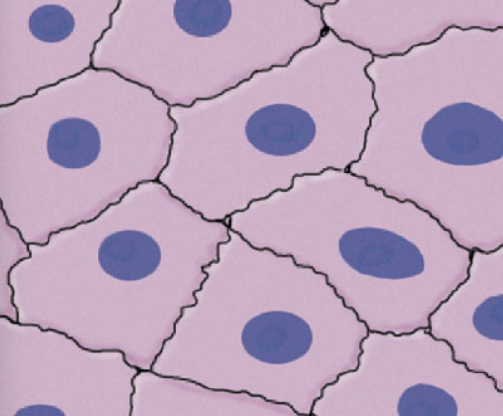 <p>What is this?</p>