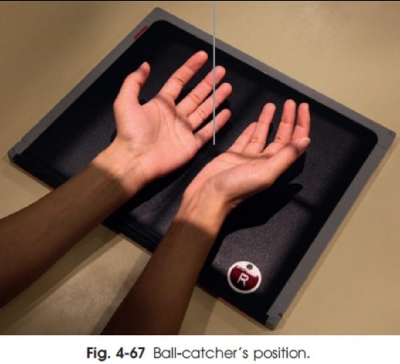 <p>CR perpendicular, directed to midpoint between both hands at level of fifth MCP joints</p>
