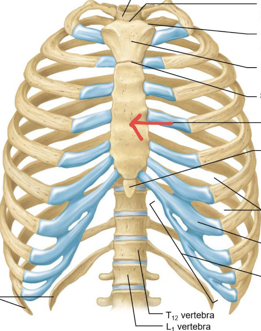 <p>what is this?</p>