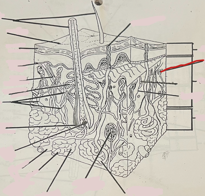 <p>What is this?</p>