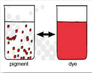 <p>Pigments do not have an affinity for fibers so they are kept on with a binding agent while Dyes do have an affinity for fibers. </p>