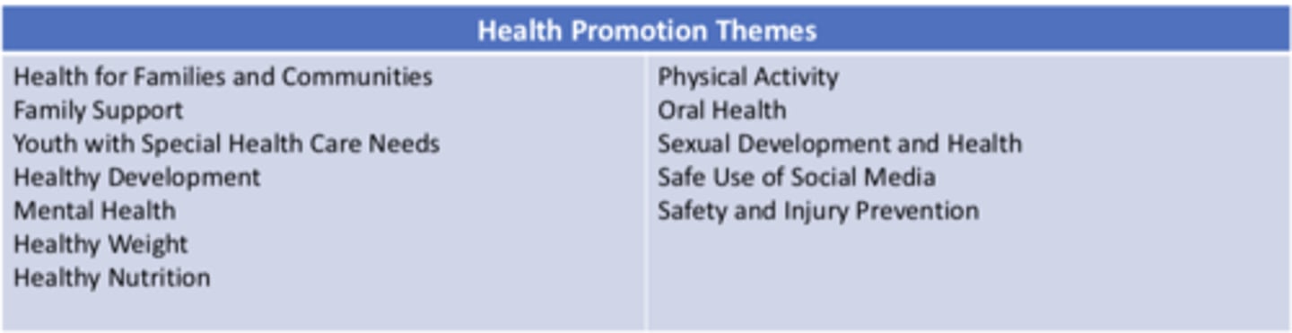 <p>a set of comprehensive health guidelines for well-child care developed by the American Academy of Pediatrics (AAP)</p>