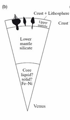 <p>Venus has no magnetic field. Surface looks young and little evidence for plate tectonics.</p><p>Venus is less dense than Earth</p><ul><li><p>this might imply that internal dynamics never allowed a dynamo to start, so liquid core but no convection.</p></li><li><p>Or a lack of sulphur in the region of the solar nebula where Venus formed prevents Iron Sulphide forming that reduces the melting point of iron on Earth, so frozen core.</p></li><li><p>Tracking measurements (gravity mapping) of Venus orbiters suggest a liquid core, but more data is badly needed</p></li></ul><p></p>