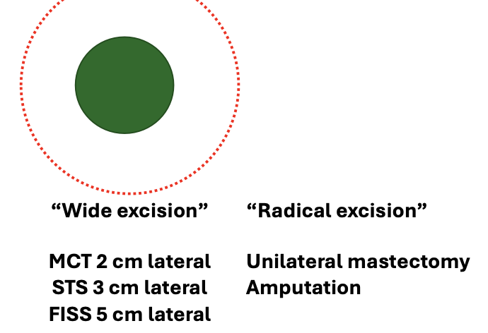 <p>wide marginal excision and radical excision</p><p>if benign: marginal excision</p>