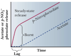 <p>Kinetics of Chymotrypsin Reaction</p>