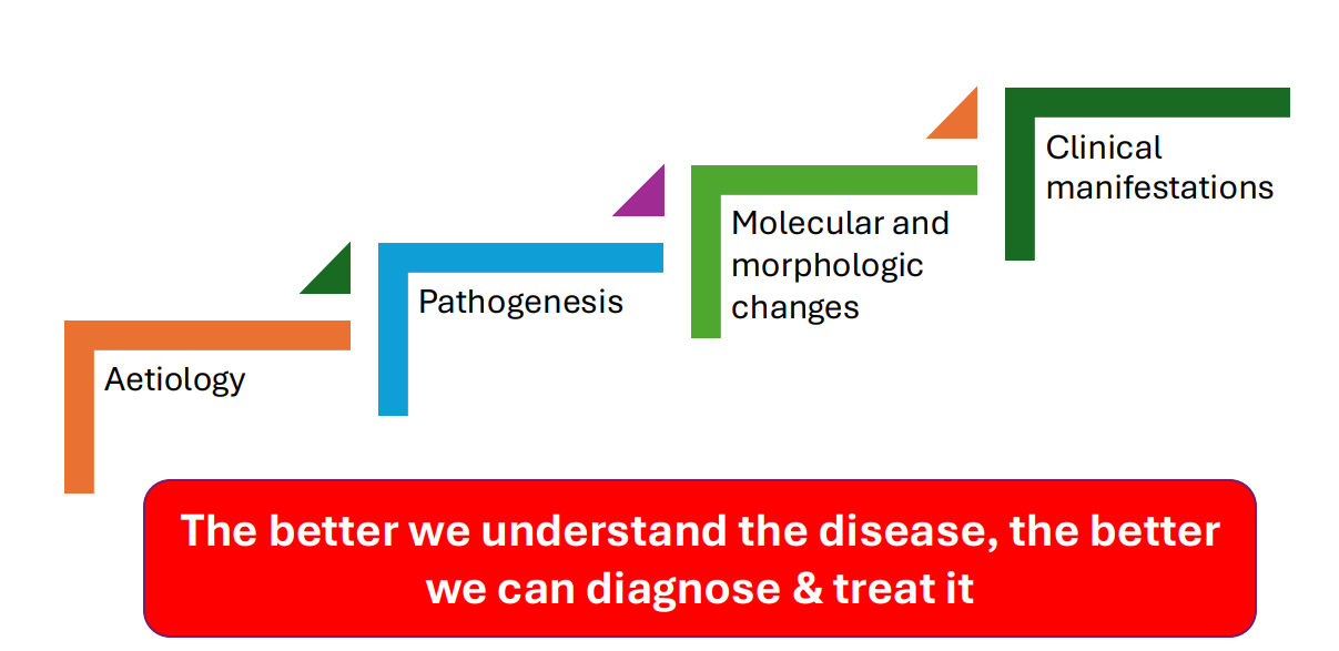 <p>Pathology: Framework to understand disease process</p>