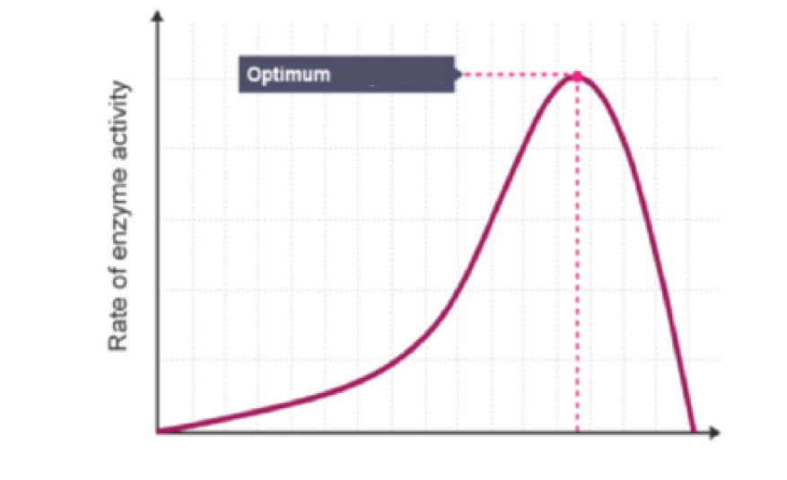 <p>What does this graph represent? Describe its trend</p>