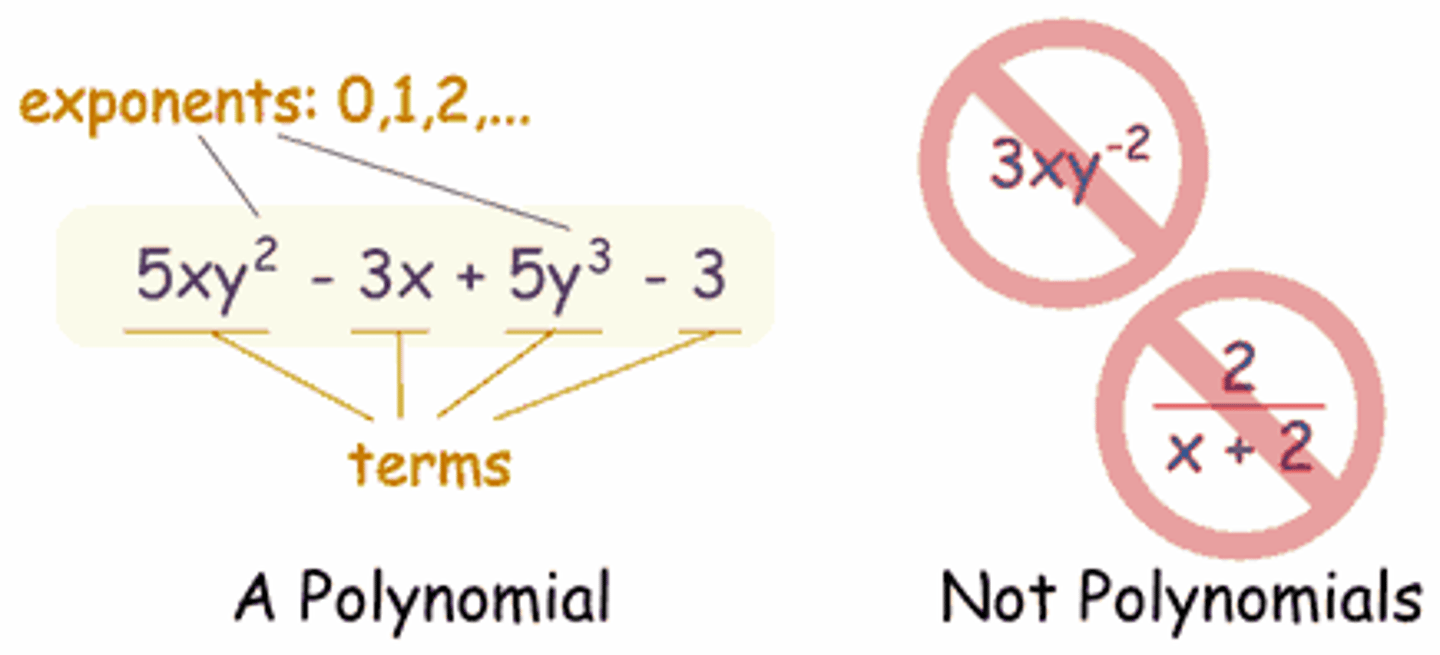 <p>another name for an algebraic expression; special cases include monomial (one term), binomial (two terms), and trinomial (3 terms)</p>