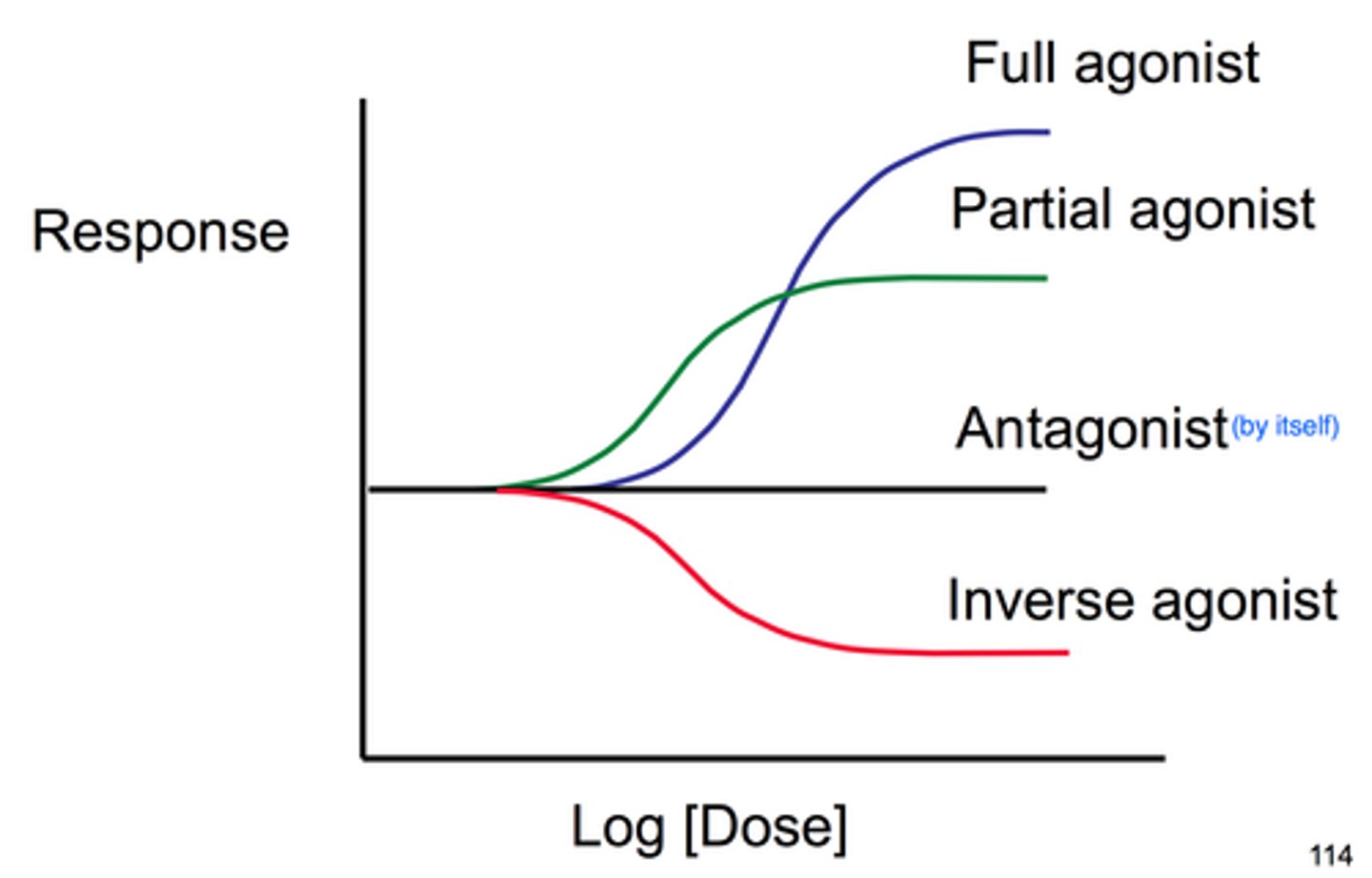 <p>Drug that mimics or strengthens the effects of a neurotransmitter.</p>