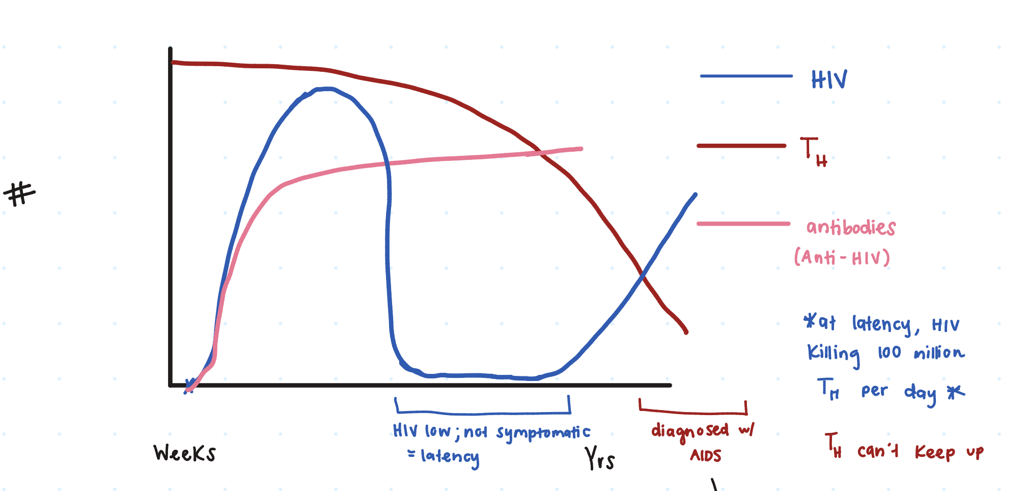 <p>However, does the HIV ever get reduced to 0? </p>