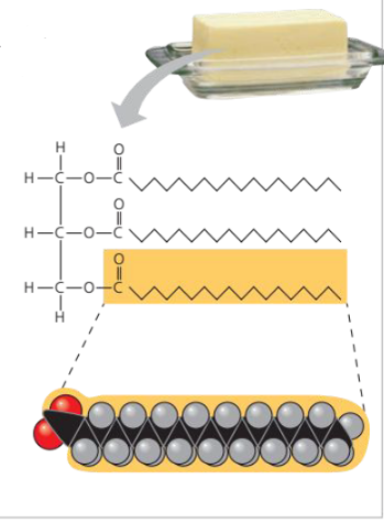 <p>At room temperature, the molecules of a saturated fat, such as the fat in butter, are packed closely together, forming a solid.</p><p>Structural formula of a saturated fat molecule (Each hydrocarbon chain is represented as a zigzag line, where each bend represents a carbon atom; are not hydrogens shown.)</p><p>Space-filling model of stearic acid, a saturated fatty acid (red oxygen, = black carbon, gray = hydrogen)</p>