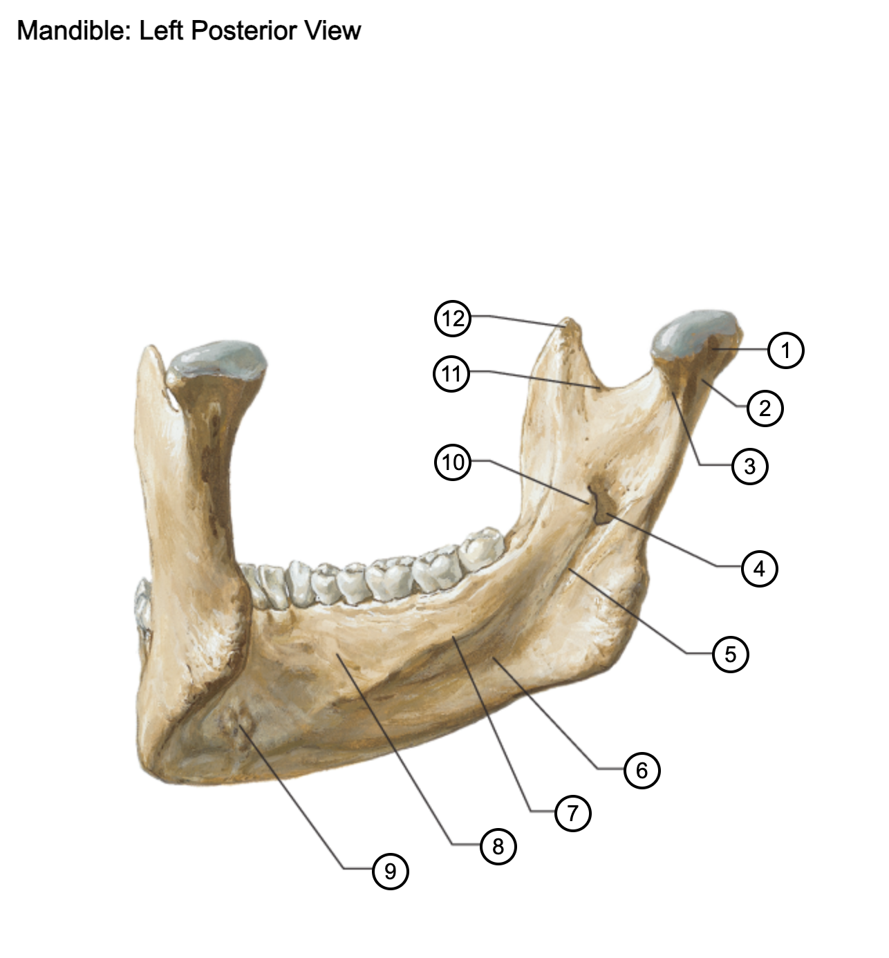 <p>1</p>