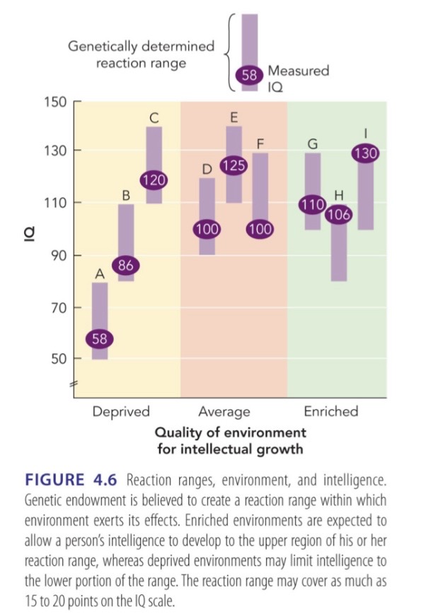 <p>Reaction range pic </p>