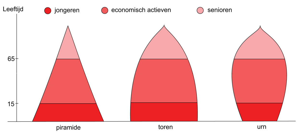 <p>in welke van de grafieke is er sprake van vergrijzing?</p>
