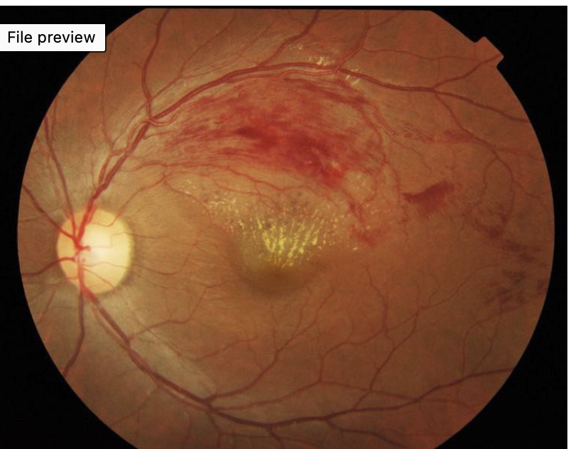 <p>what this and how do you know</p>