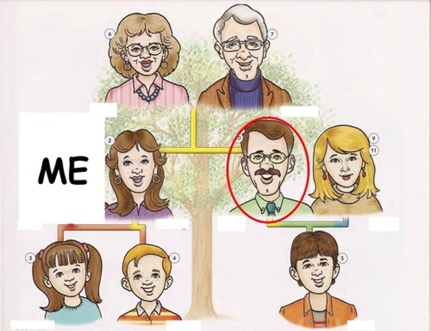 knowt flashcard image