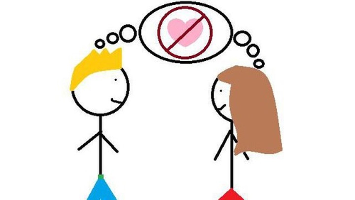 <p>affectionate relationship between people of the opposite sex that is not sexual</p><p>I’ve often seen Matt and Ellie at the cinema together, but it’s purely a __________.</p>