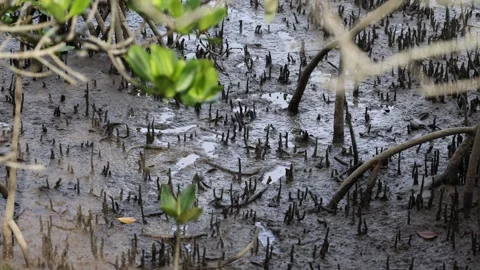 <p><span><span>What is the function of these? </span></span></p>