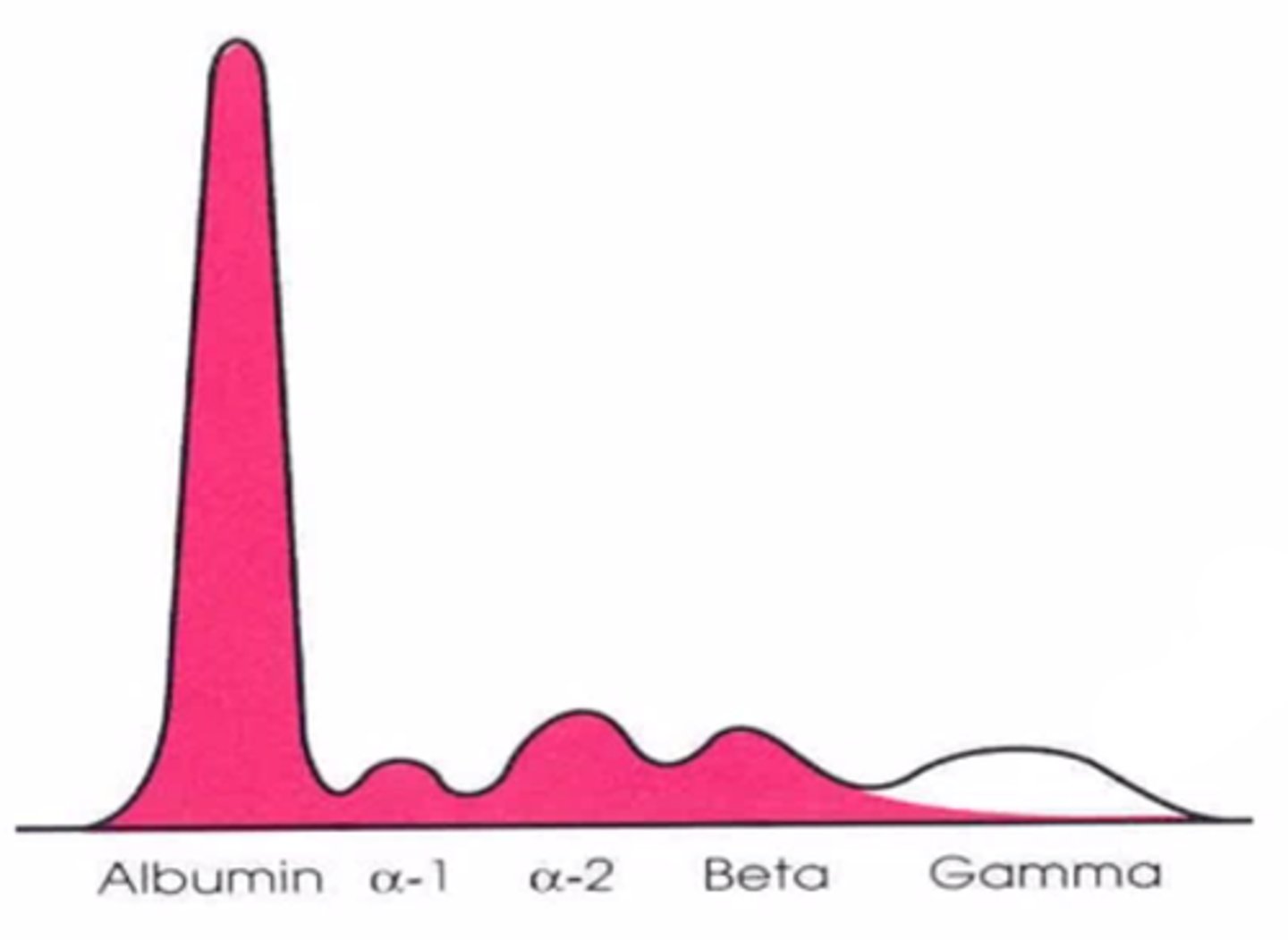 <p>B</p>