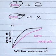 <p>Competitive Inhibitors are a similar shape to the substrate - they temporarily bind to the active site in order to prevent the substrates from binding, therefore reducing the rate of reaction.</p><p>REVERSIBLE BY ADDING MORE SUBSTRATES.</p>