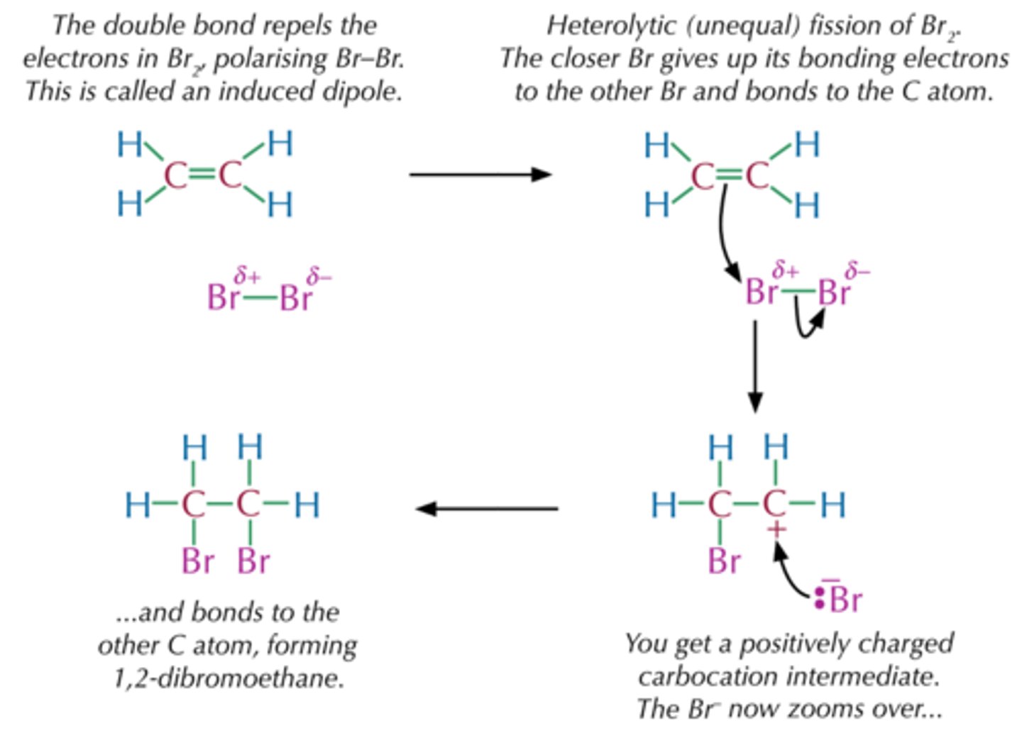 <p>- A reaction in which a reagent is added to an unsaturated starting material (ring, alkene, alkyne) to make a saturated molecule.</p><p>- Reverse/opposite of elimination reactions</p>