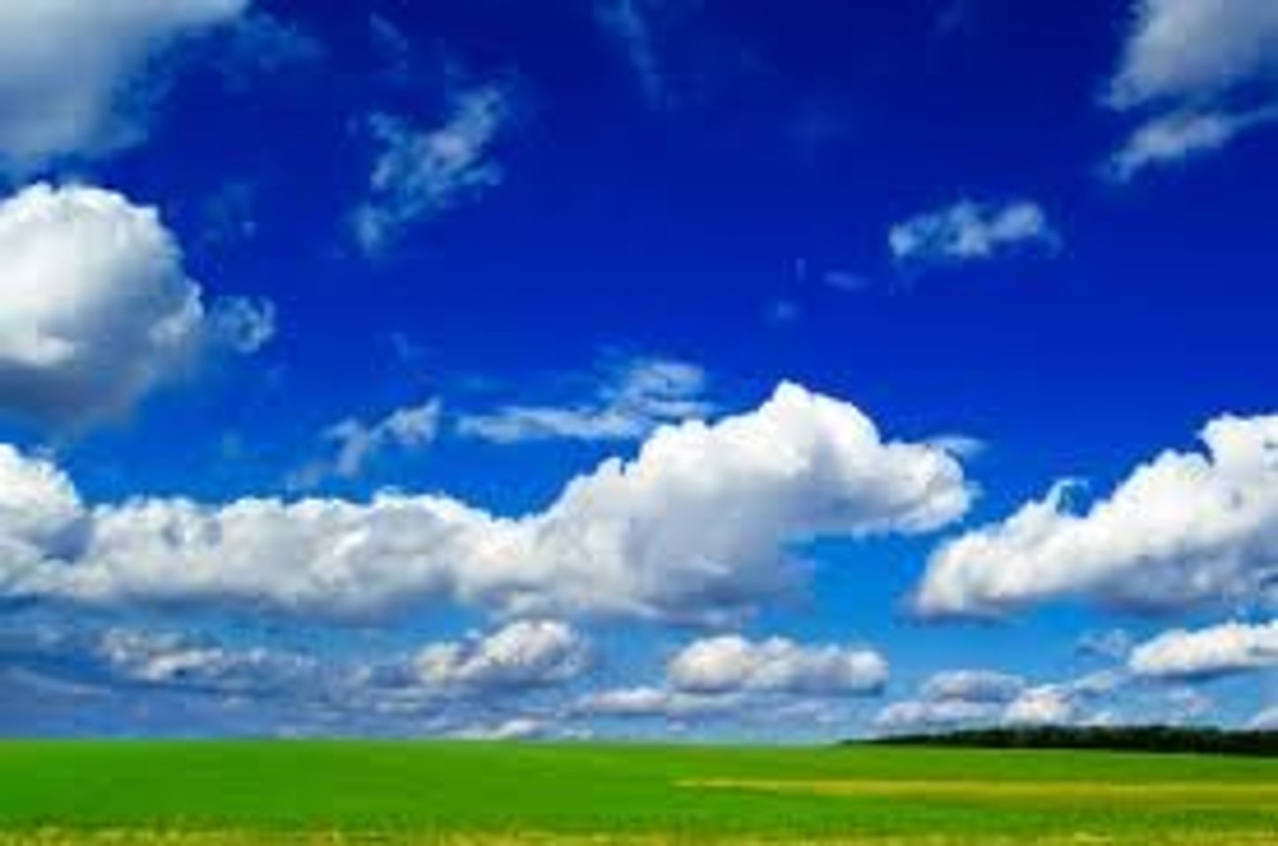 <p>clean air</p>