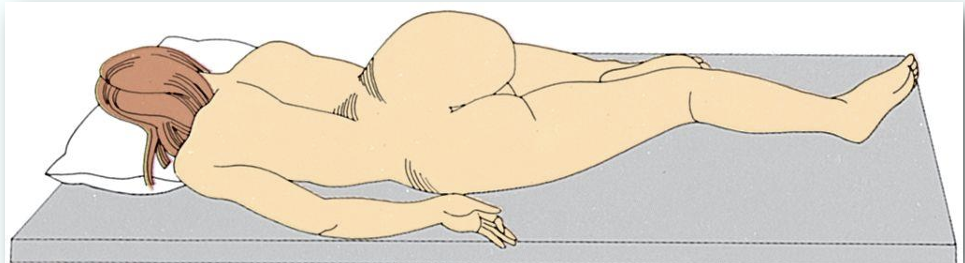 <p>RECTAL AREA; P. THORAX</p>