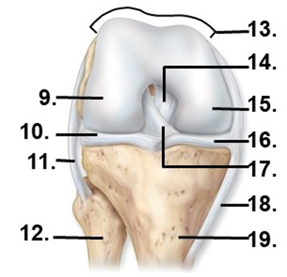 <p>Name structure 9</p>