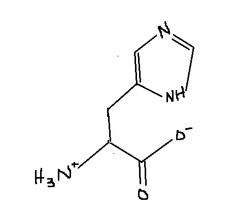 <p>Which amino acid is this?</p>