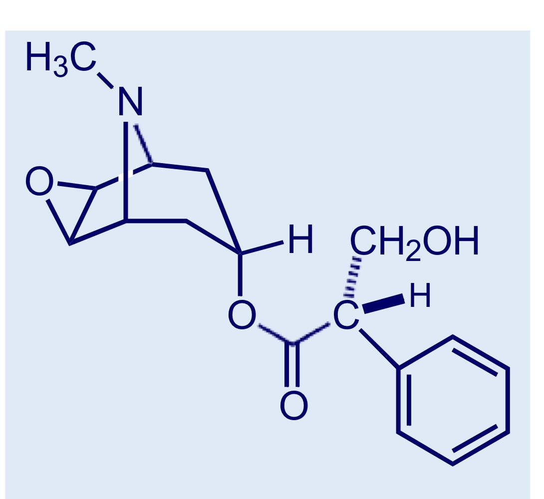 <p>Riconosci la molecola + descrizione</p>