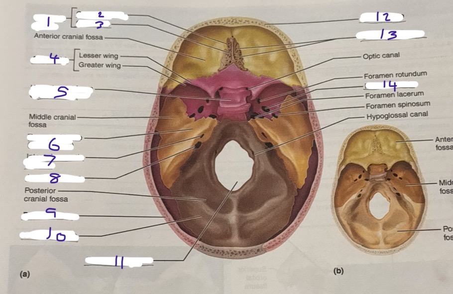 <p>1</p>