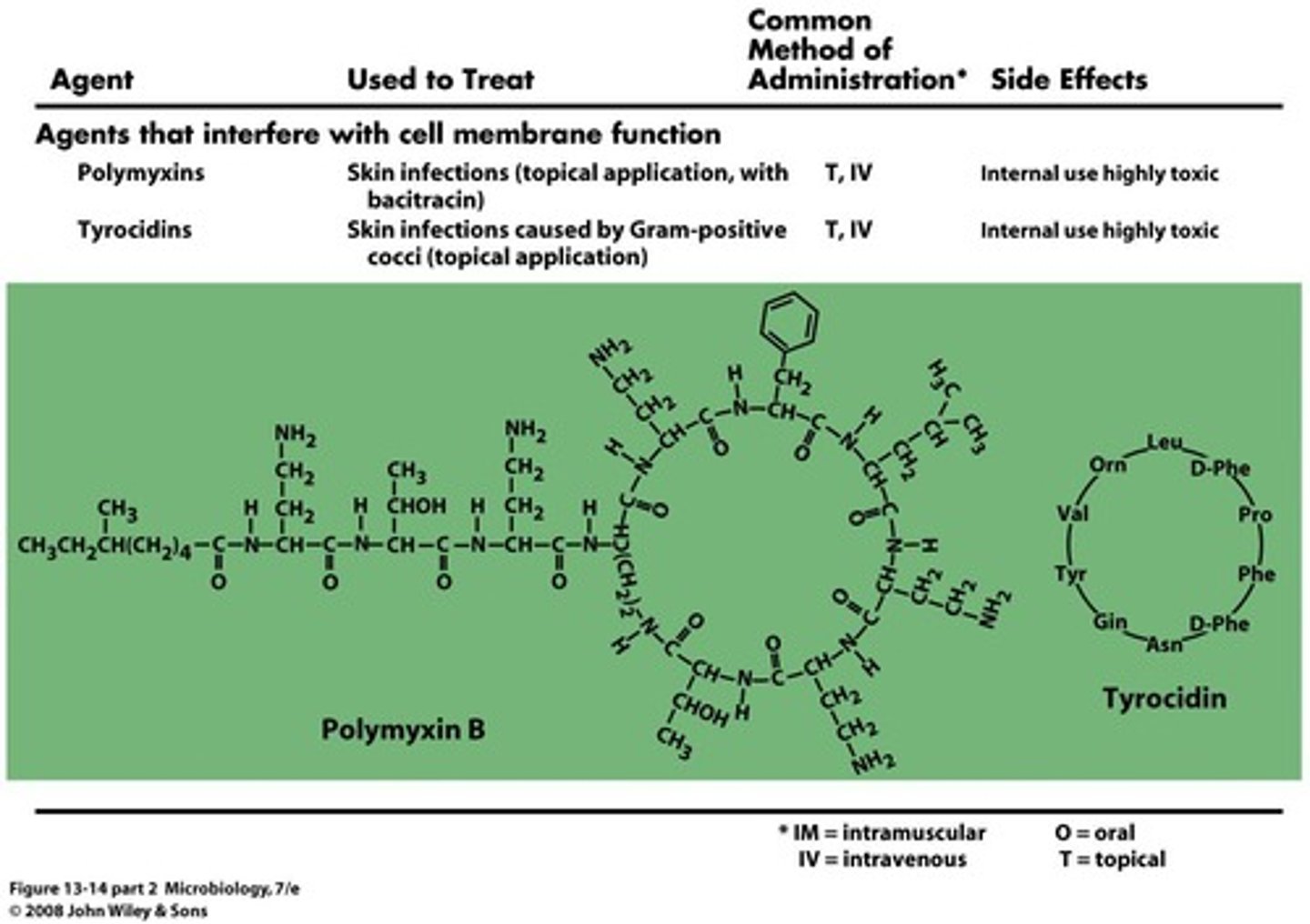 <p>Disrupts bacterial membrane, highly toxic.</p>