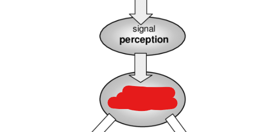 <p>The process of a ligand binding to a membrane receptor and exhibiting an intracellular response. Upon ligand binding receptor changes conformation and activates intracellular signaling molecules.</p>